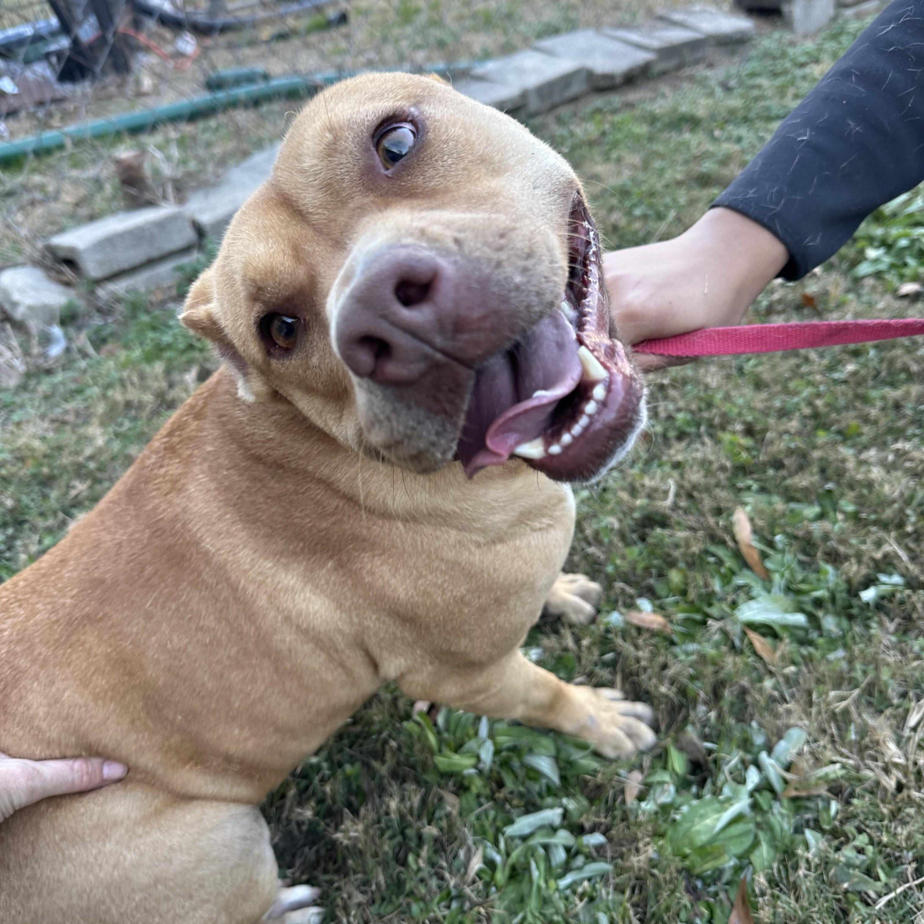 August — thumbnail 2