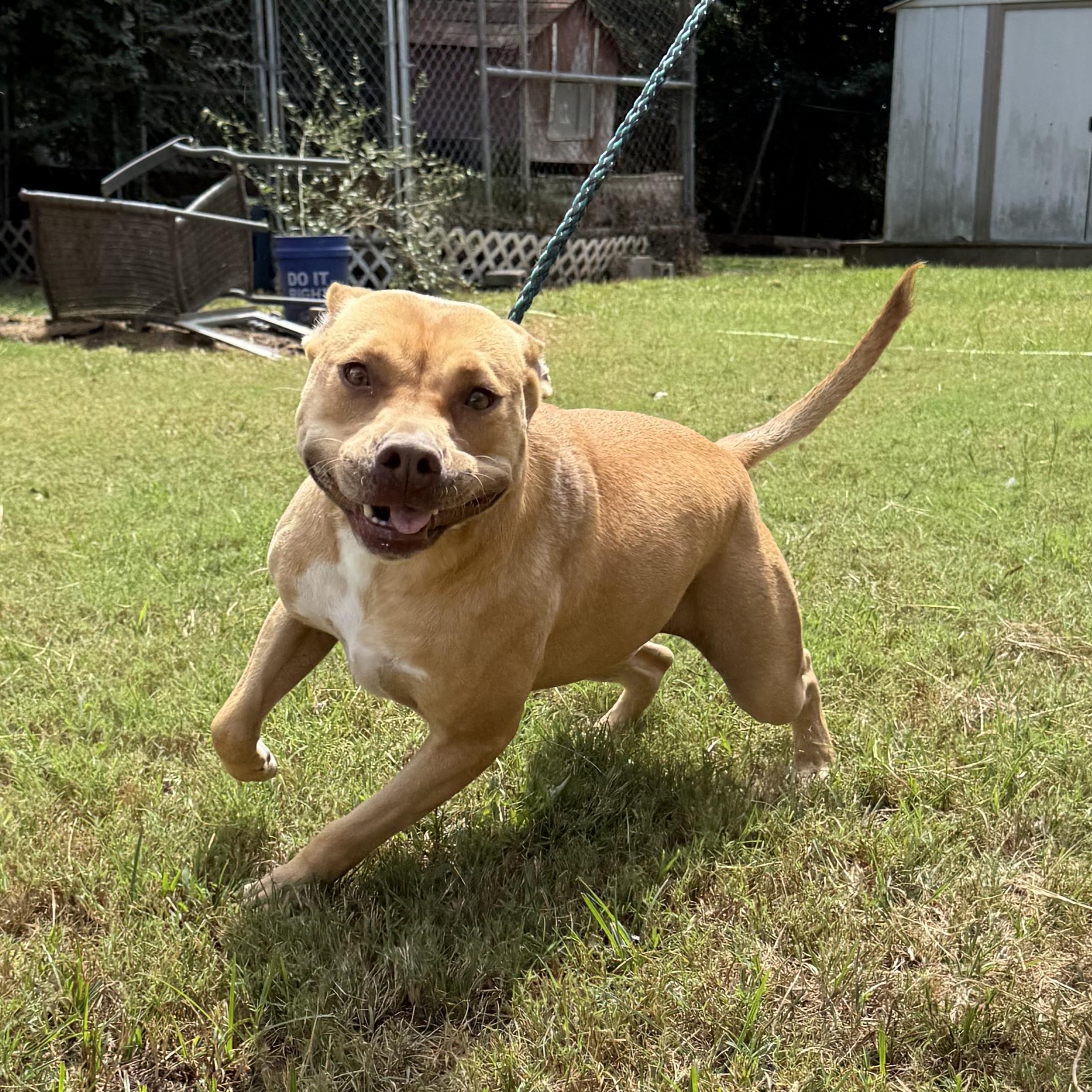 August — thumbnail 6