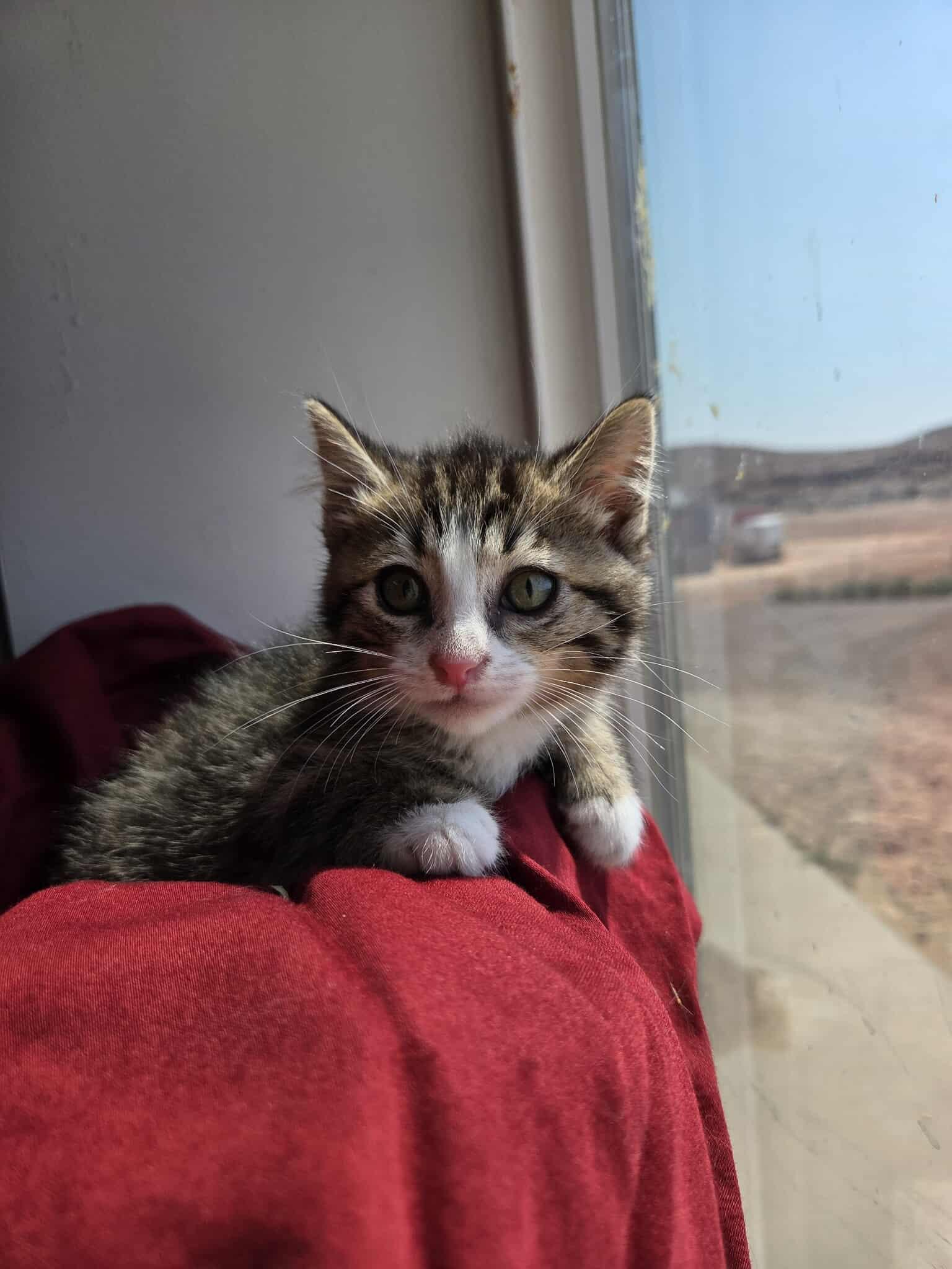 Oliver