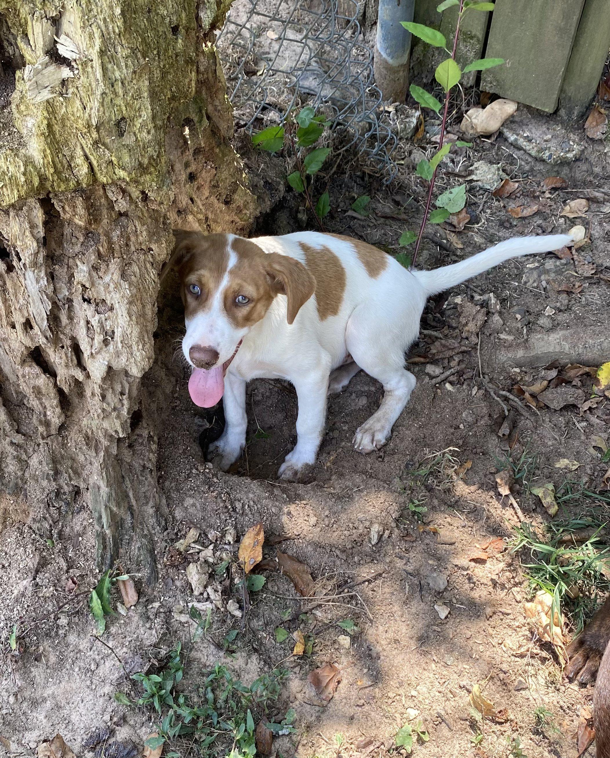 Cassie - Come Meet Me!