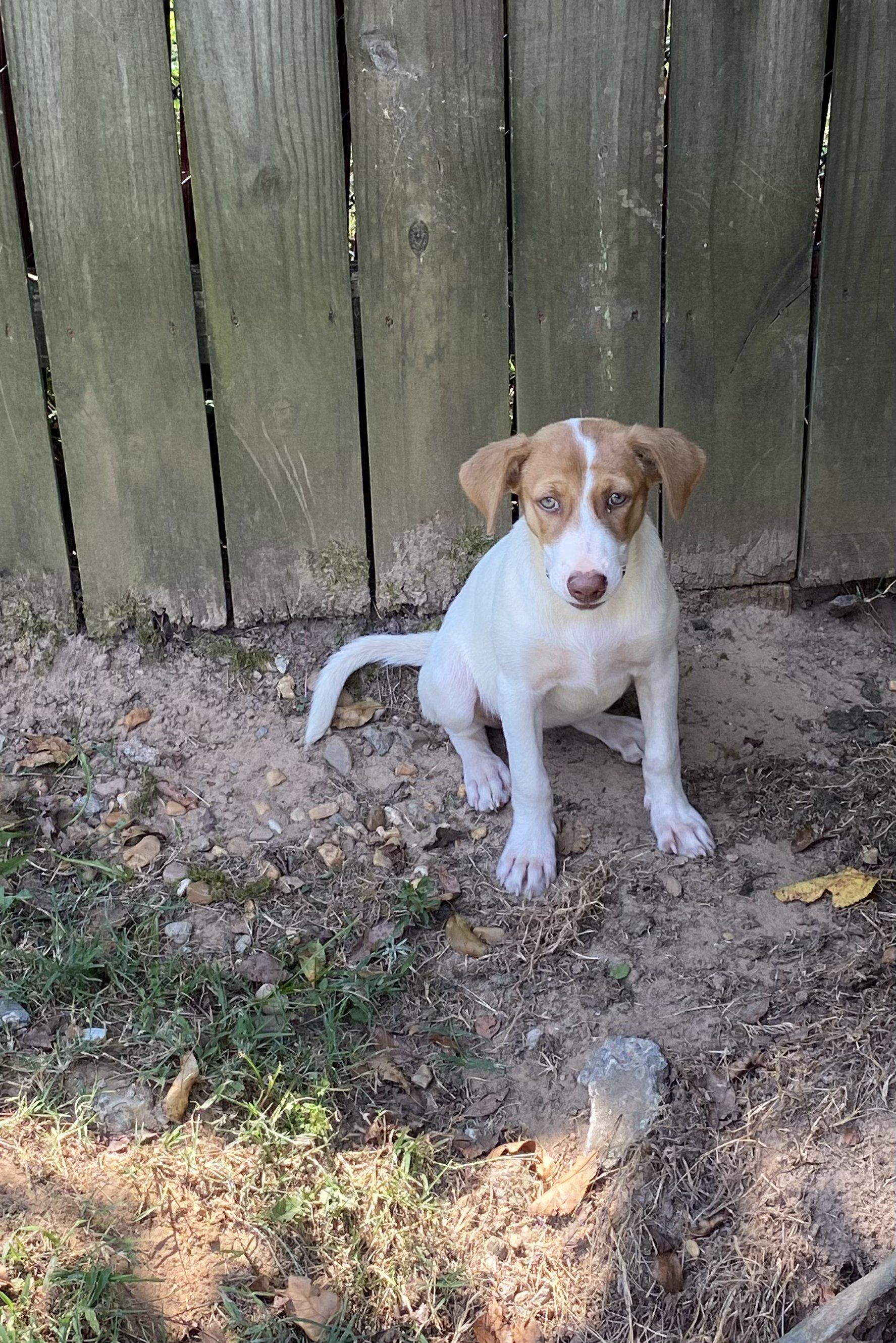 Cassie - Come Meet Me!