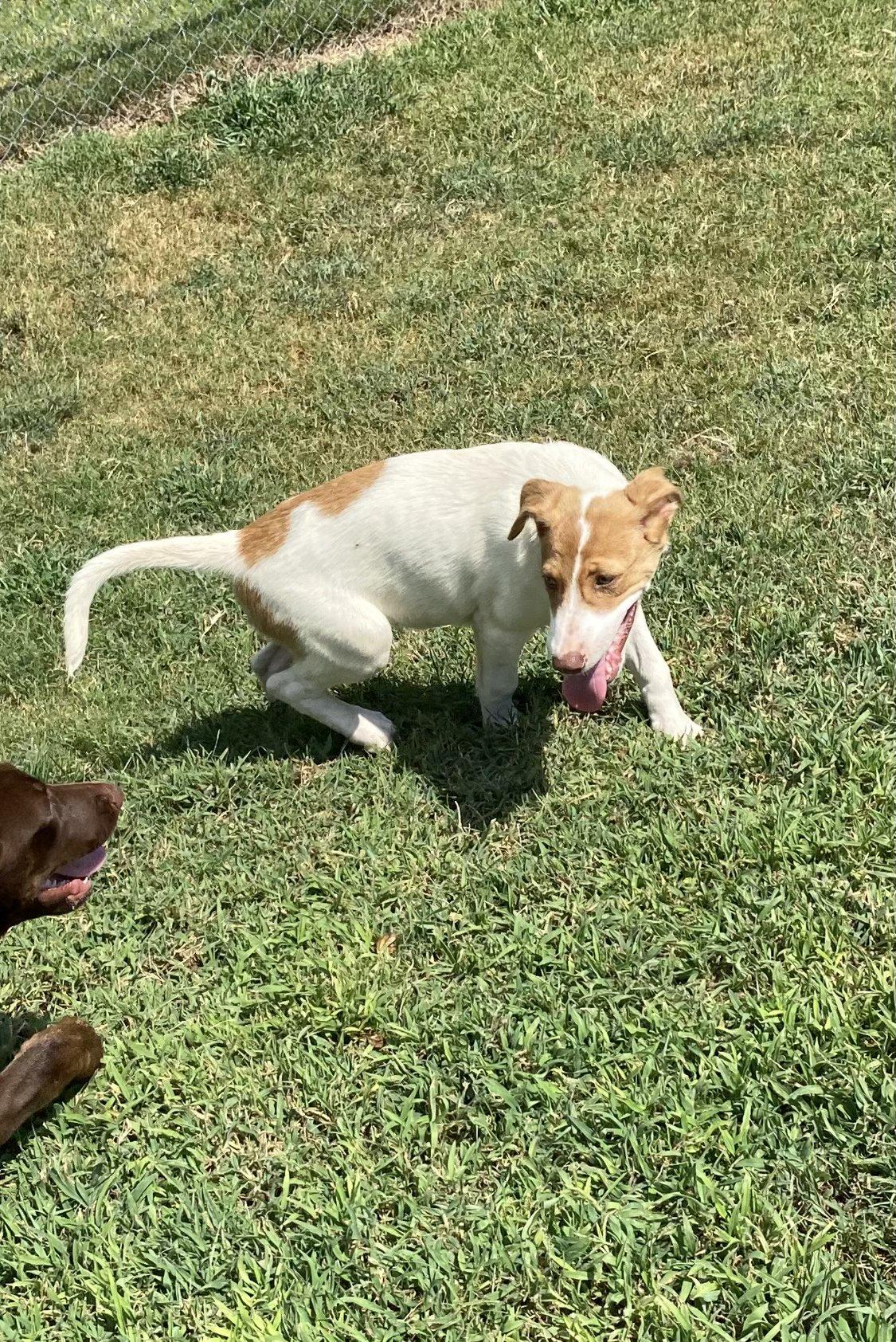 Cassie - Come Meet Me!