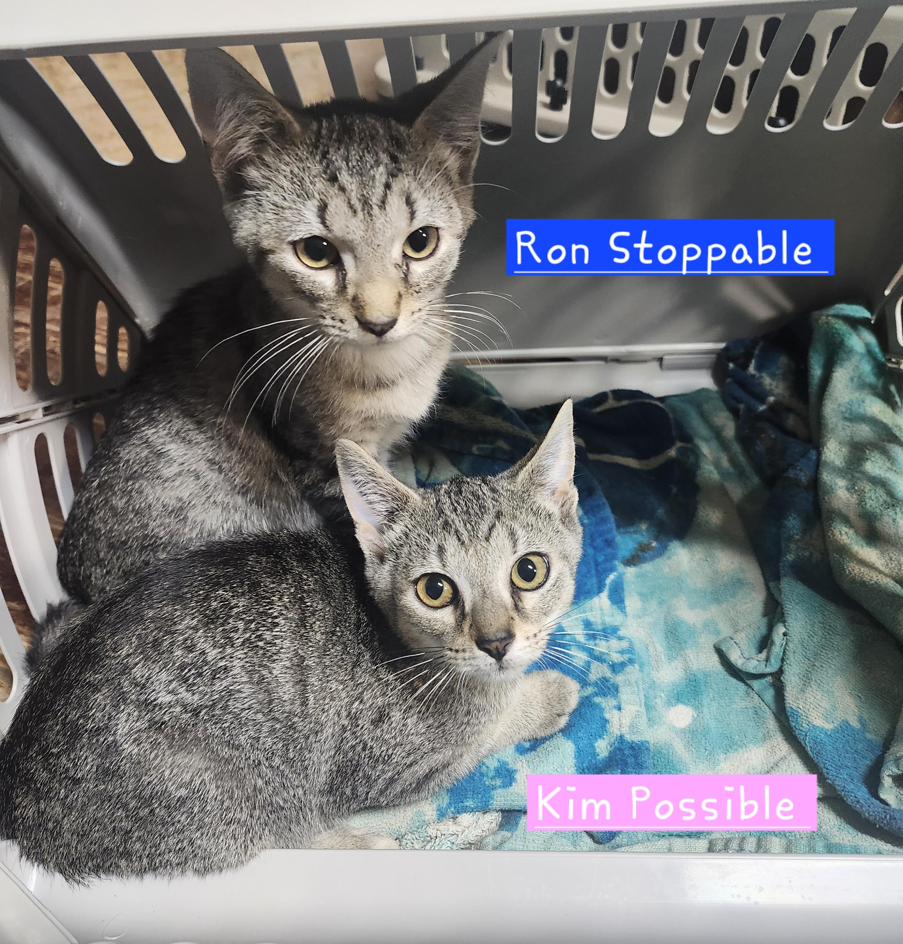 Kim Possible