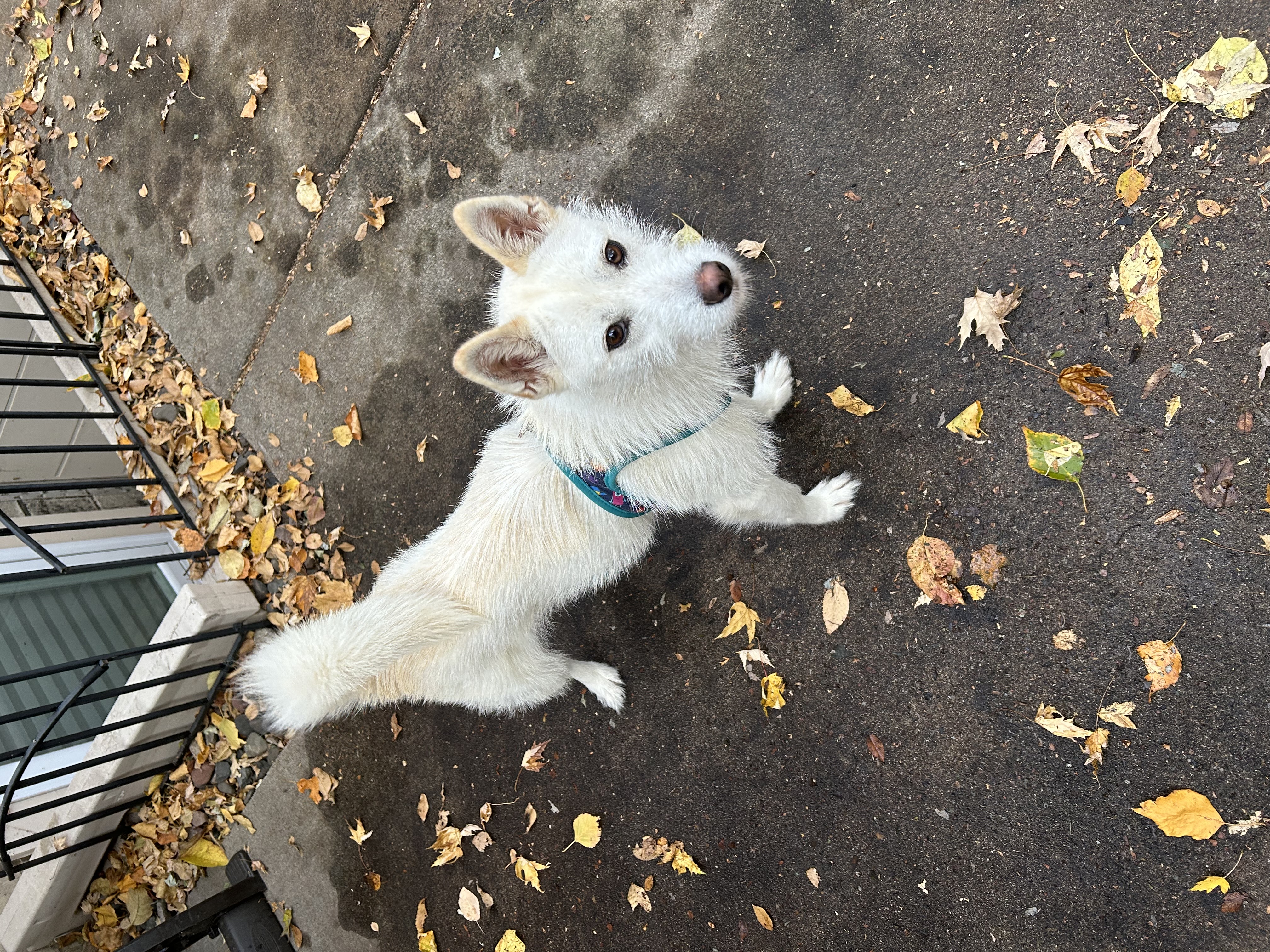 Sophie