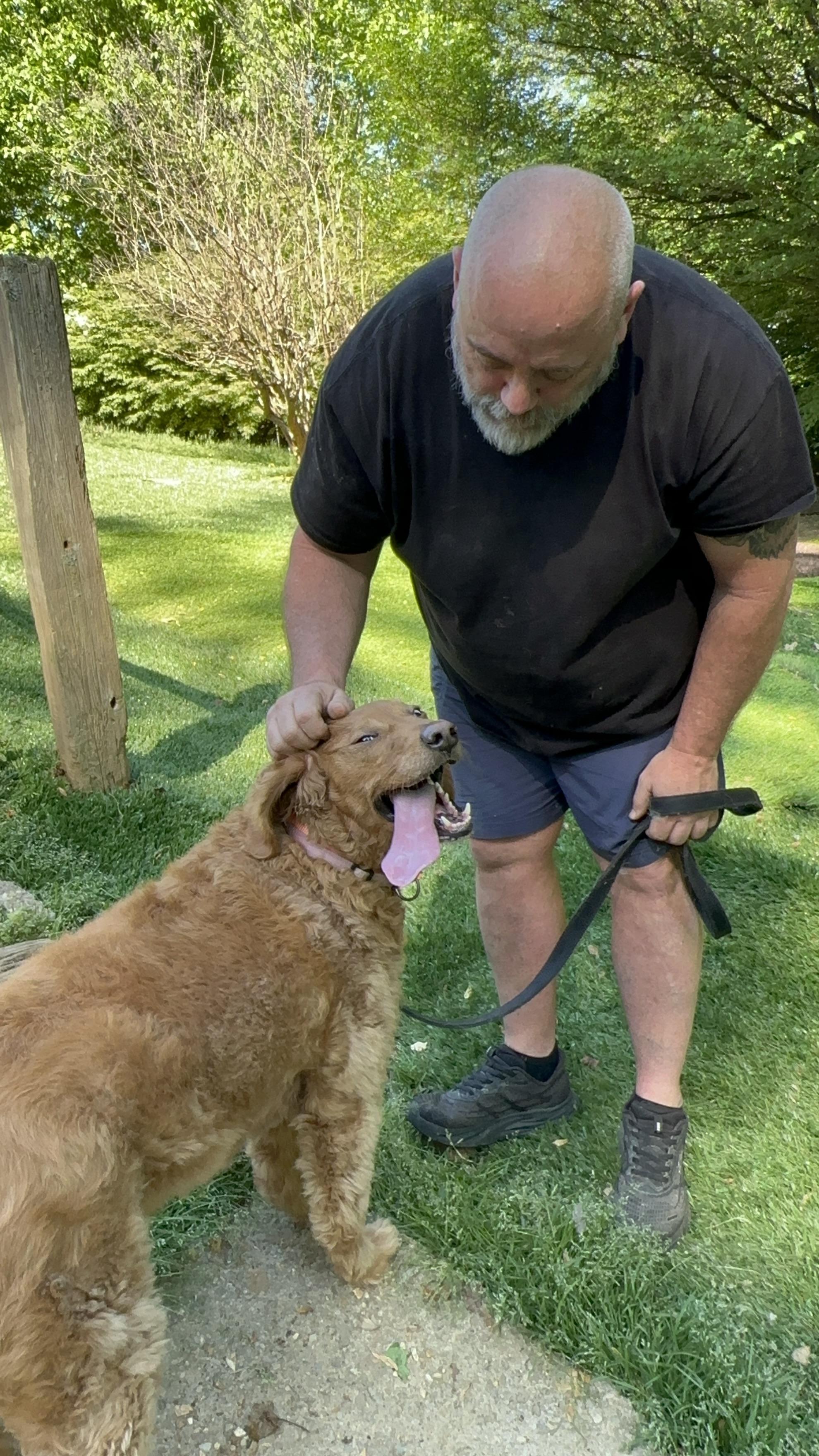 Enlarge Clara, a ADOPTABLE mixed breed in Sherman, CT image 5/5