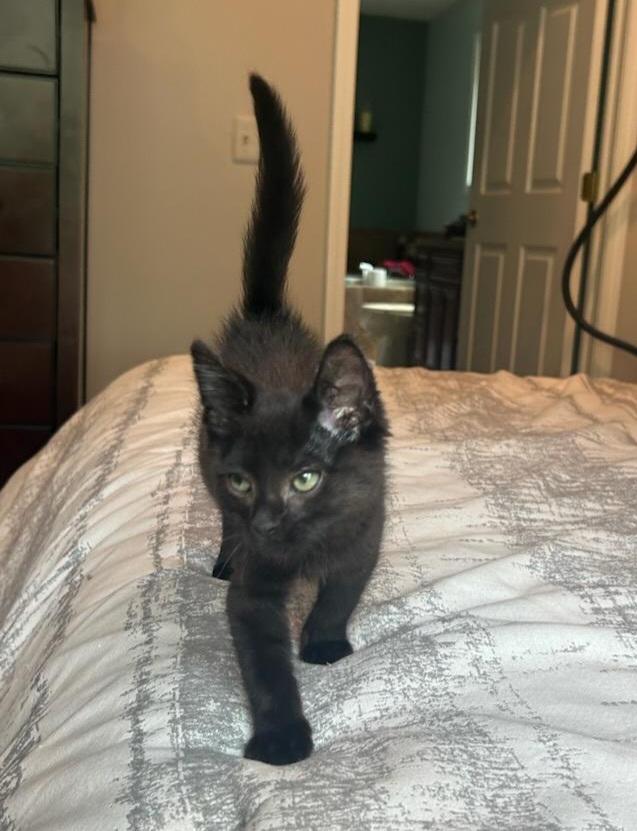 Pookie photo 3