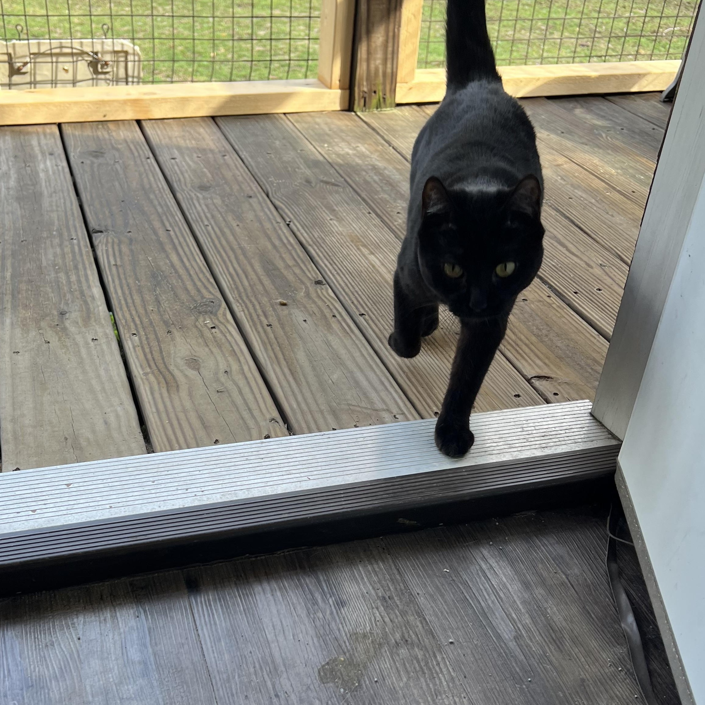 Clawdette photo 2