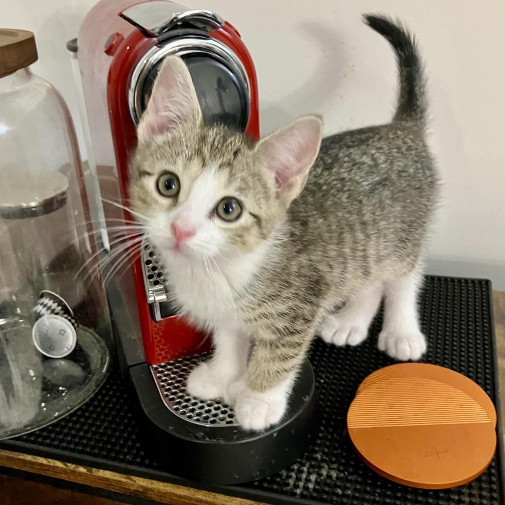 Isabeau — thumbnail 2