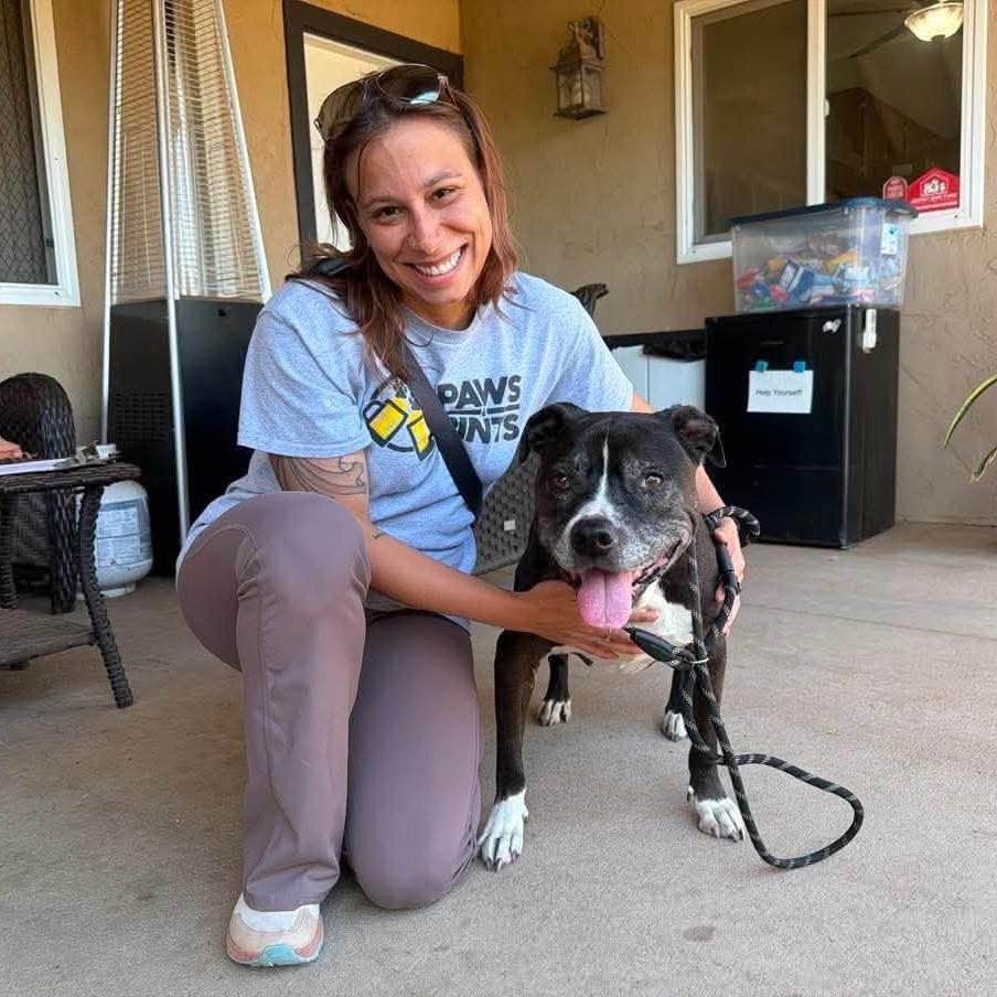 Enlarge Diamond, a Adoptable Pit Bull Terrier in Ramona, CA image 4/6
