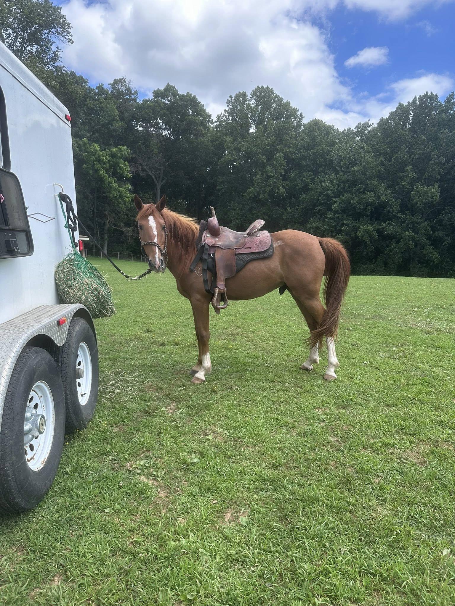 Arlington - ATFO 2025 Diamond Division, Young Male unknown