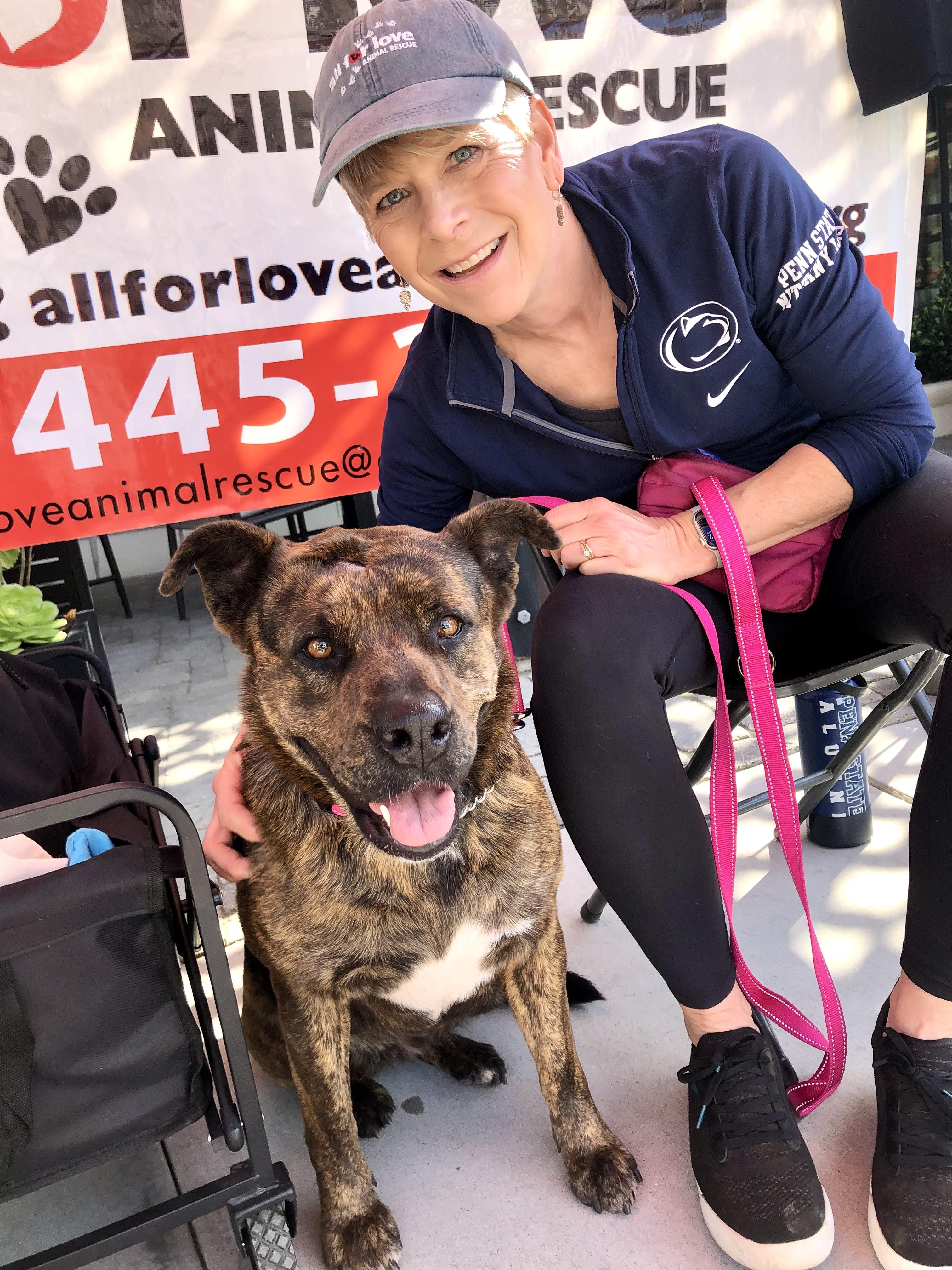 Enlarge MINNIE, an adoptable mixed breed in Thousand Oaks, CA image 6/6