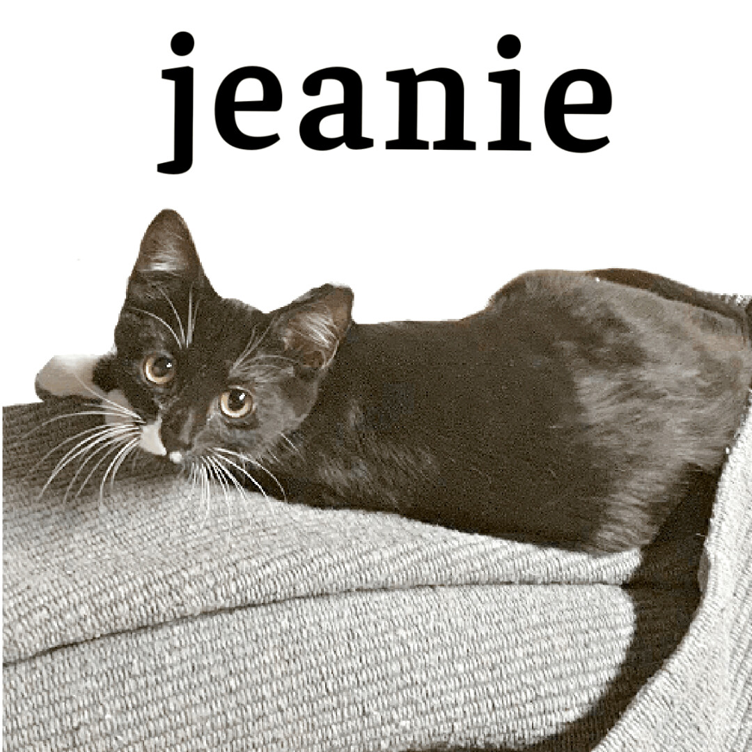 Jeanie