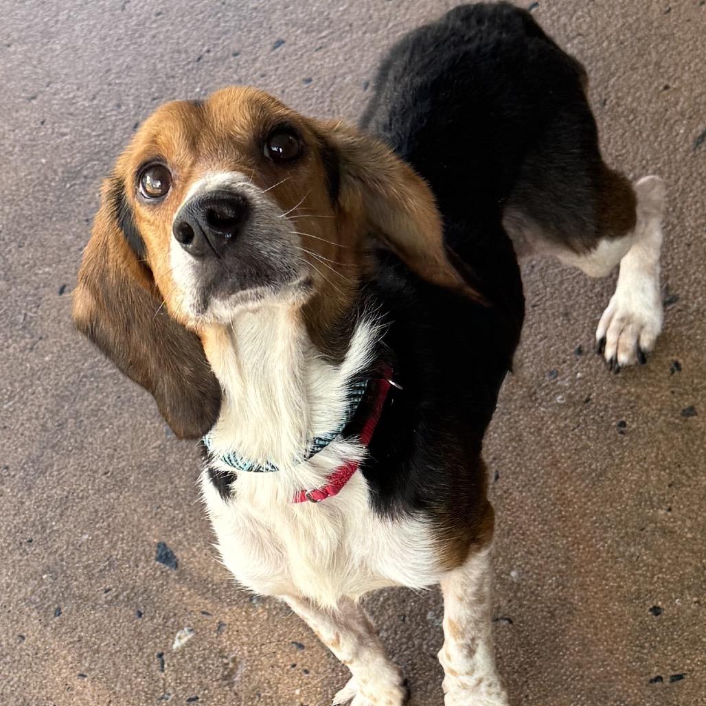 Brady 22040 — thumbnail 2