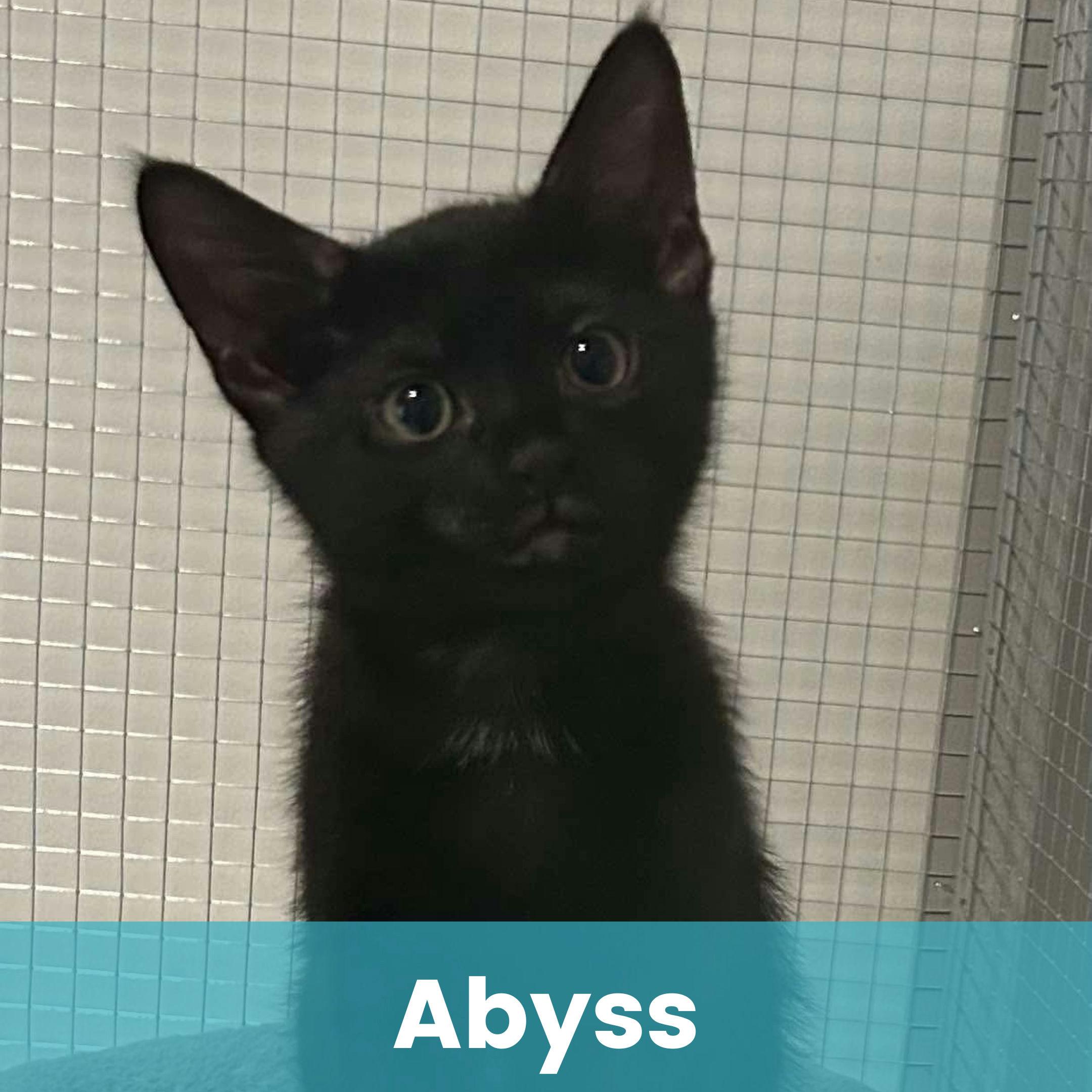 Abyss