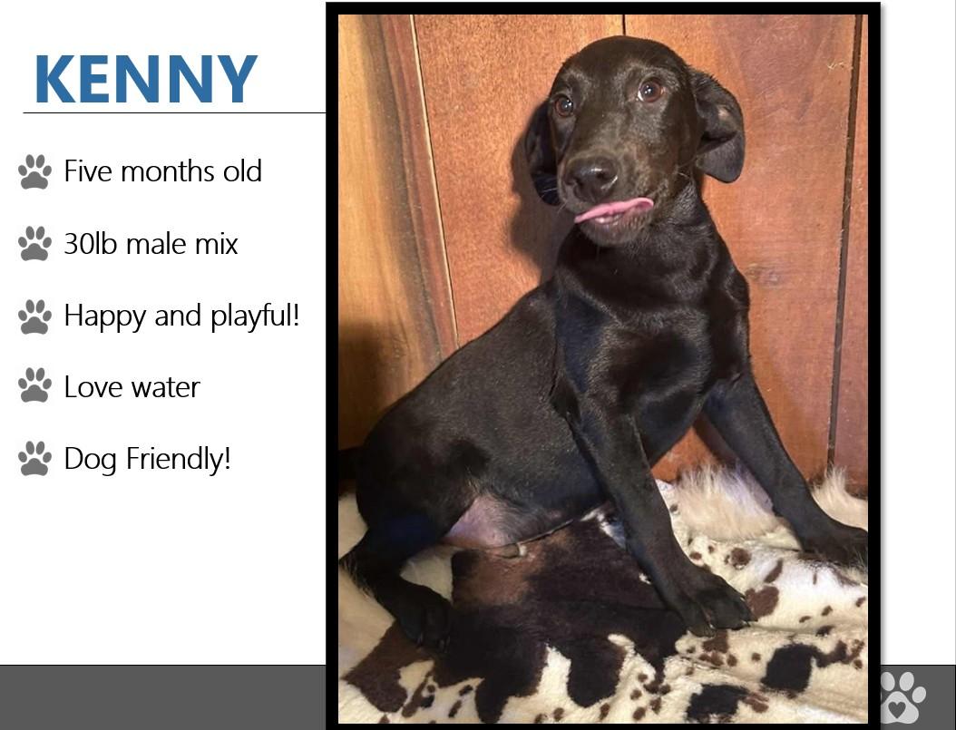Foster KENNY!