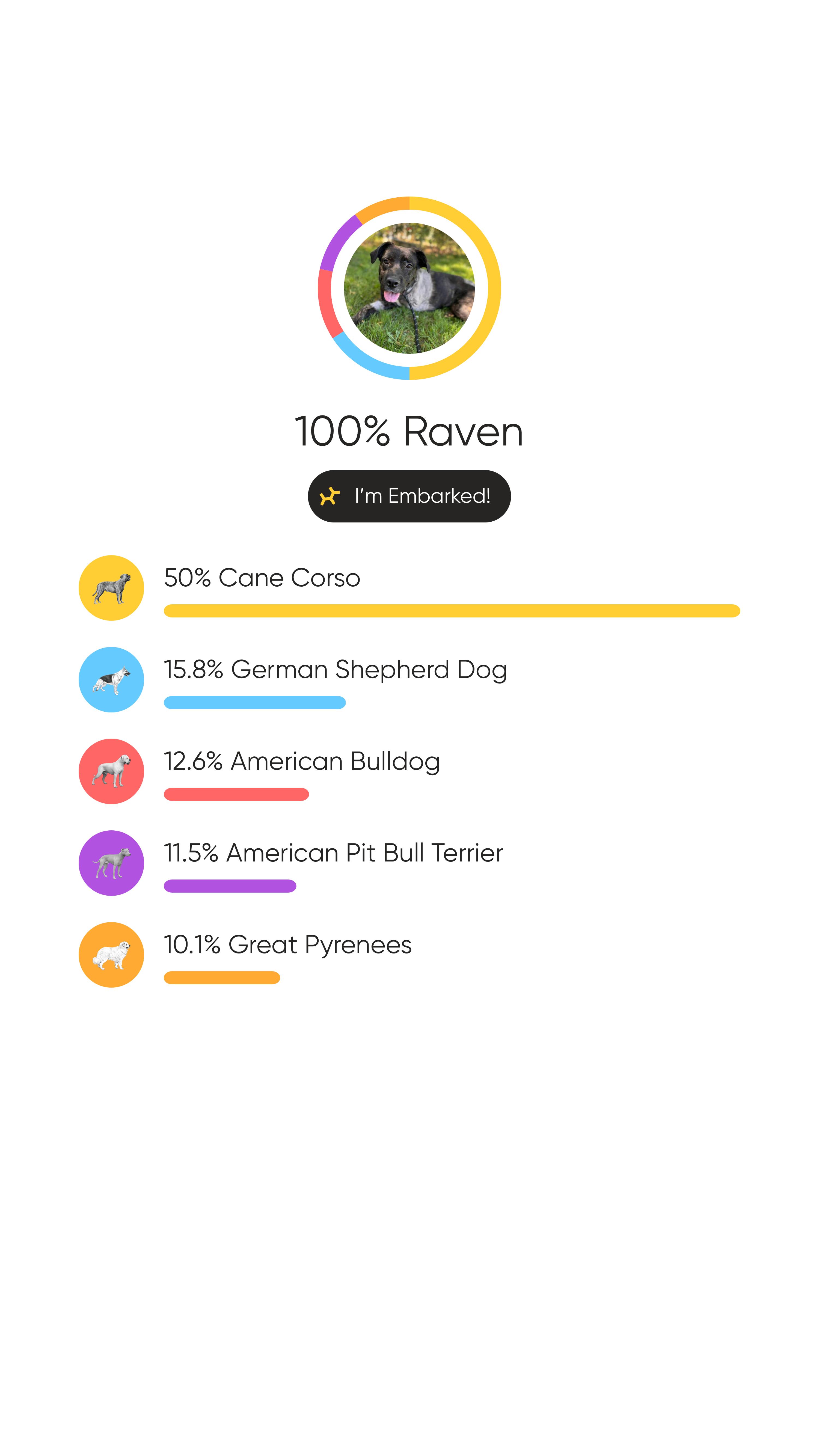 Enlarge Raven , a Adoptable mixed breed in Oakland, CA image 6/6