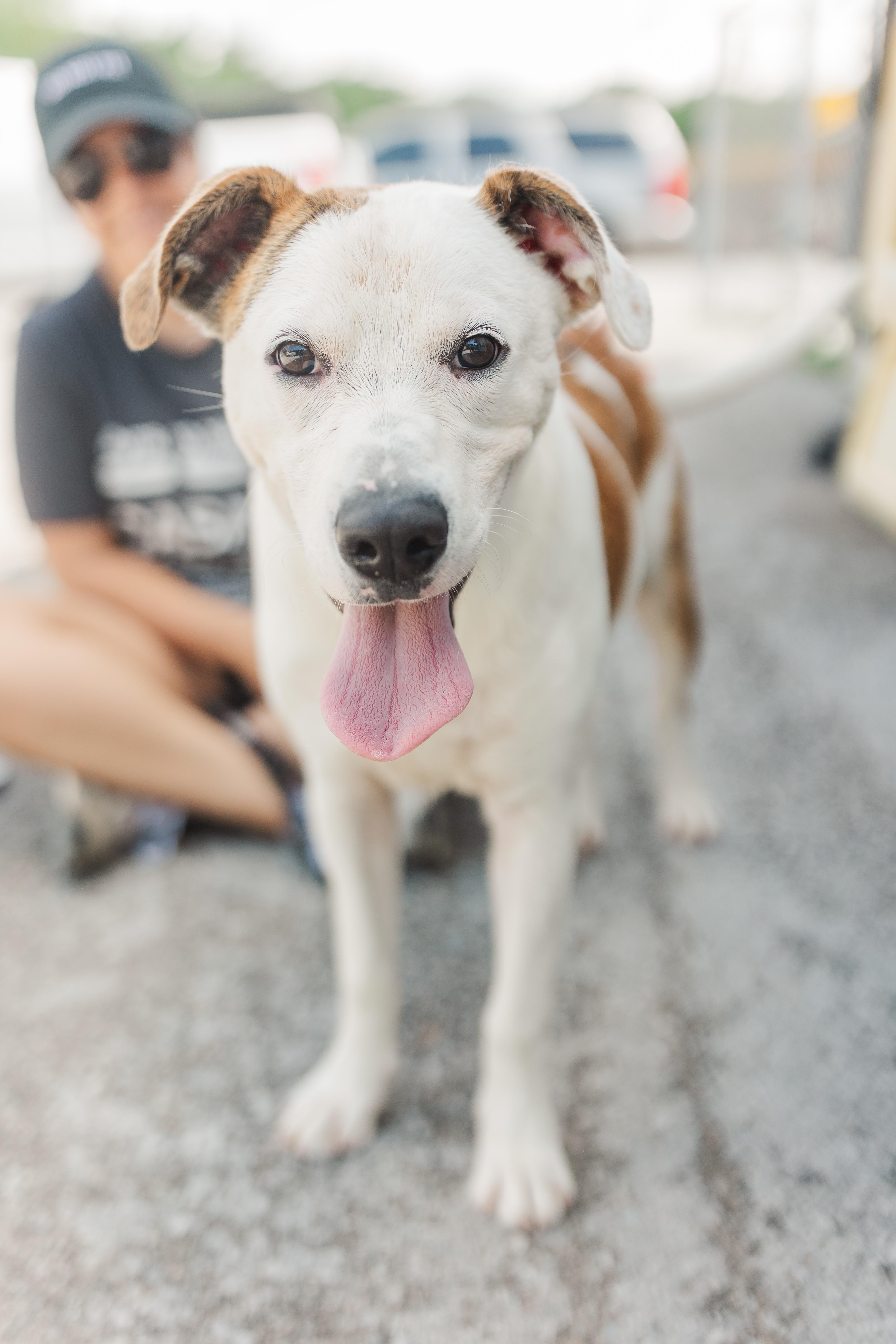 Max photo 3