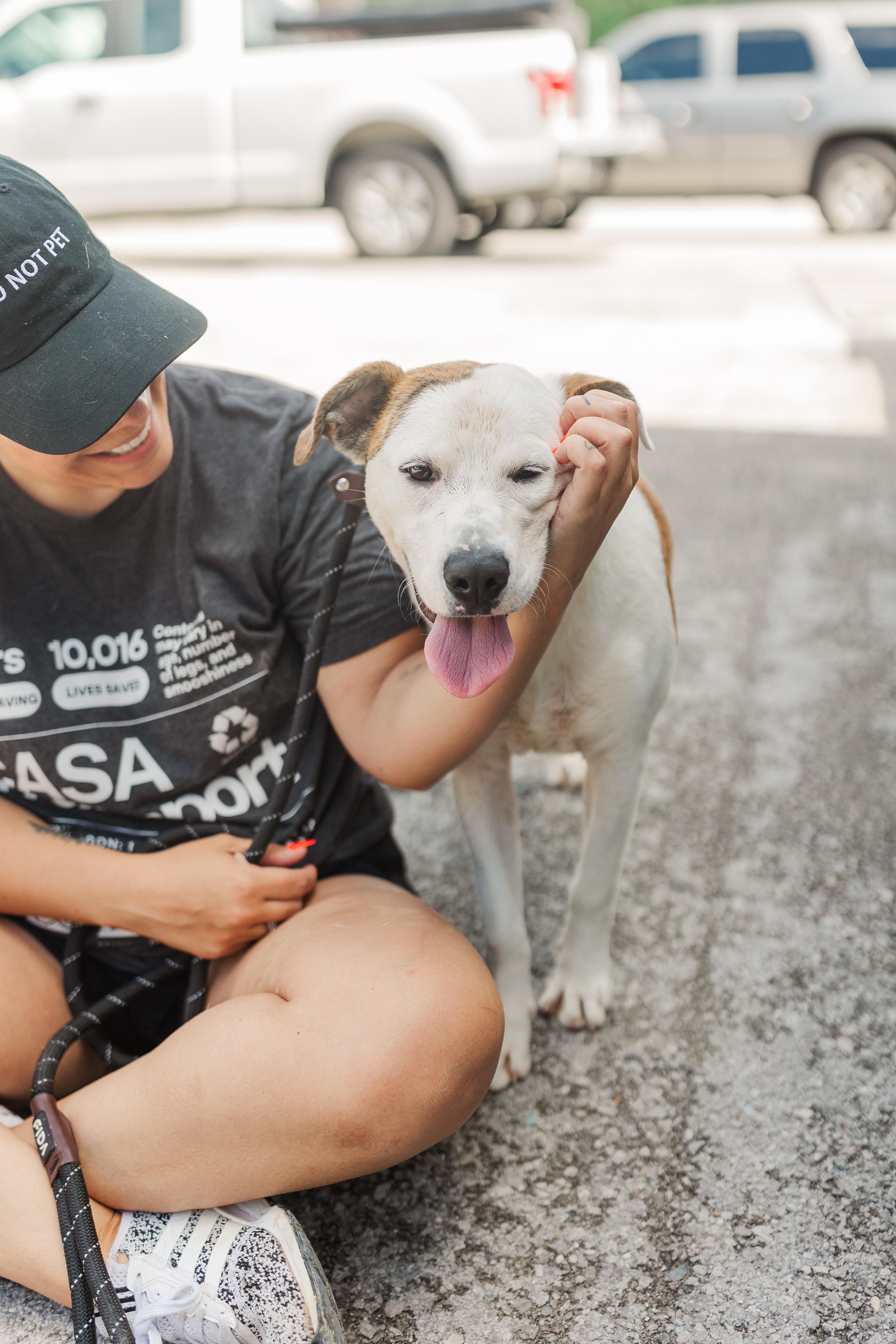 Max photo 6