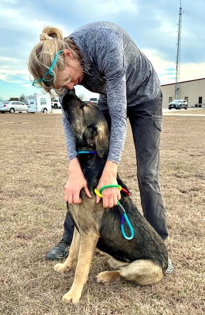 Enlarge Ray, a ADOPTABLE mixed breed in Austin, TX image 3/5