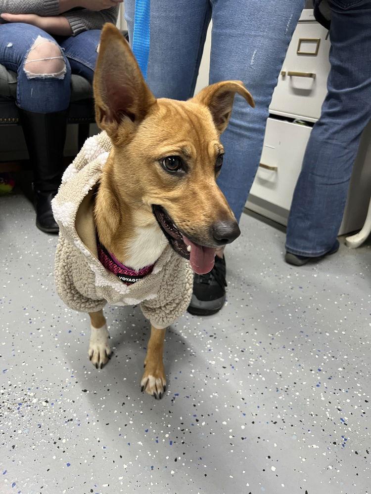 Precious~ — thumbnail 2