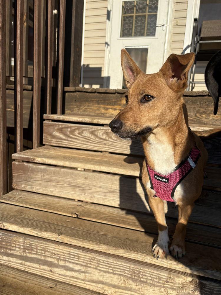 Precious~ — thumbnail 3