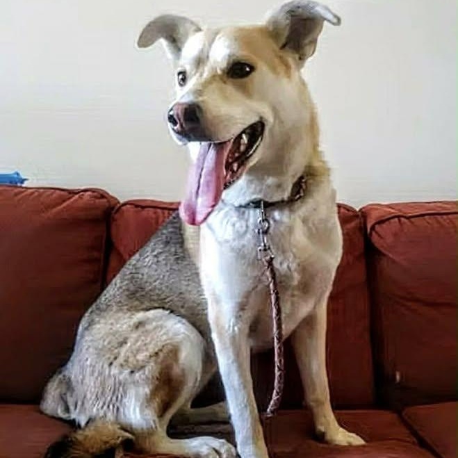 Soleil (20260119-10)