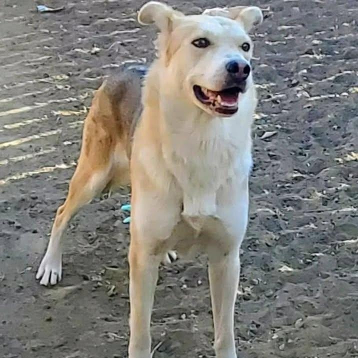 Soleil (20260119-10) — thumbnail 2