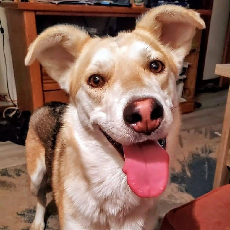 Soleil (20260119-10) — thumbnail 3