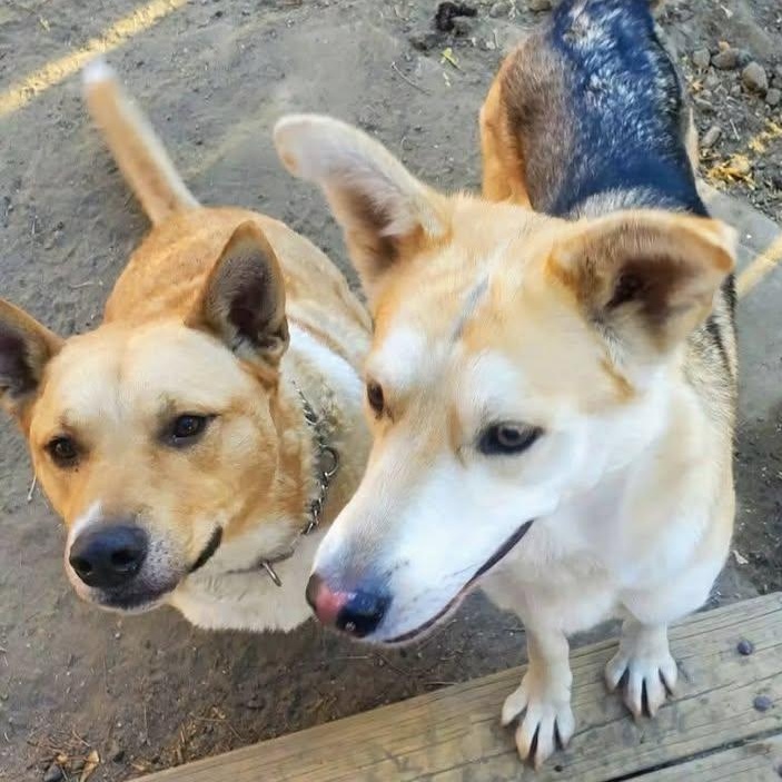 Soleil (20260119-10) — thumbnail 4