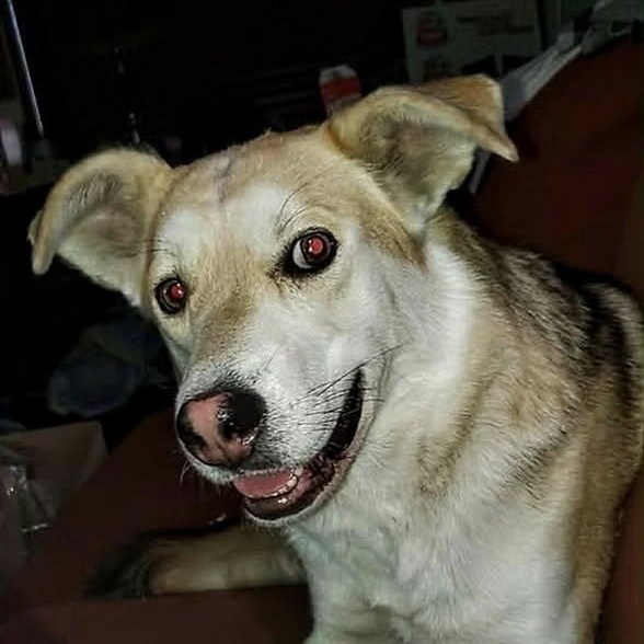 Soleil (20260119-10) — thumbnail 5