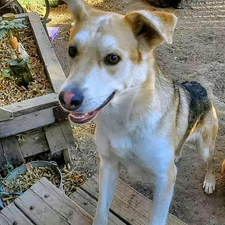 Soleil (20260119-10) — thumbnail 6