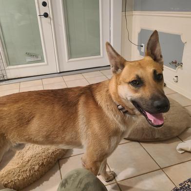 Hanson — thumbnail 3