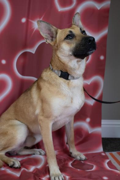 Hanson — thumbnail 6