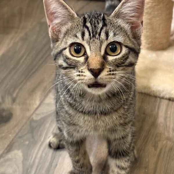 Fishbait Jerny — thumbnail 2