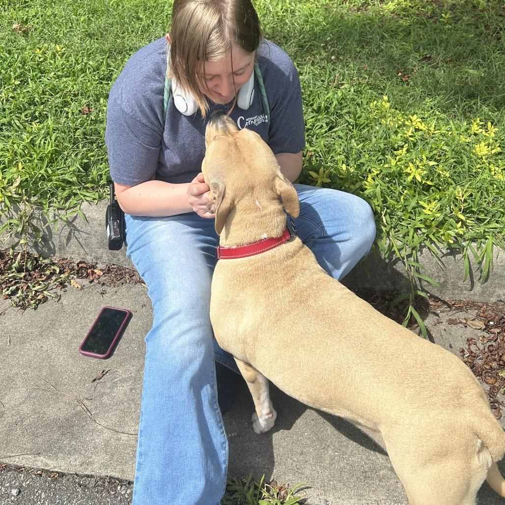 Enlarge Rose, a Adoptable Mixed Breed in Fredericksburg, VA image 3/6