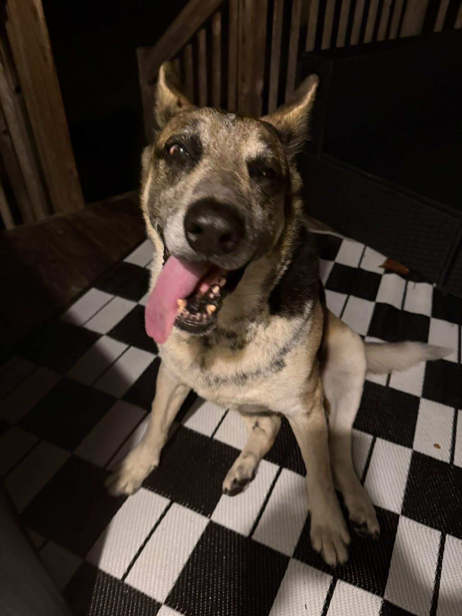 LUCKY — thumbnail 4