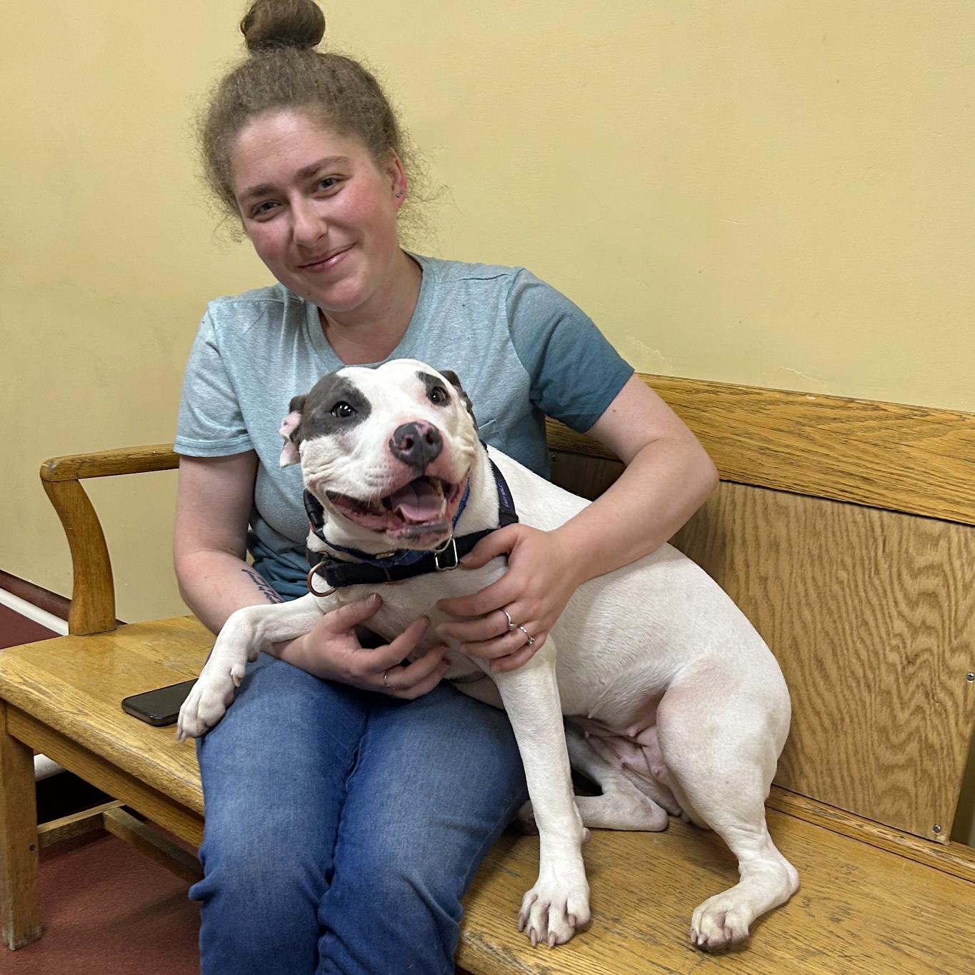 Enlarge Ziva, a ADOPTABLE Pit Bull Terrier in Accident, MD image 3/6