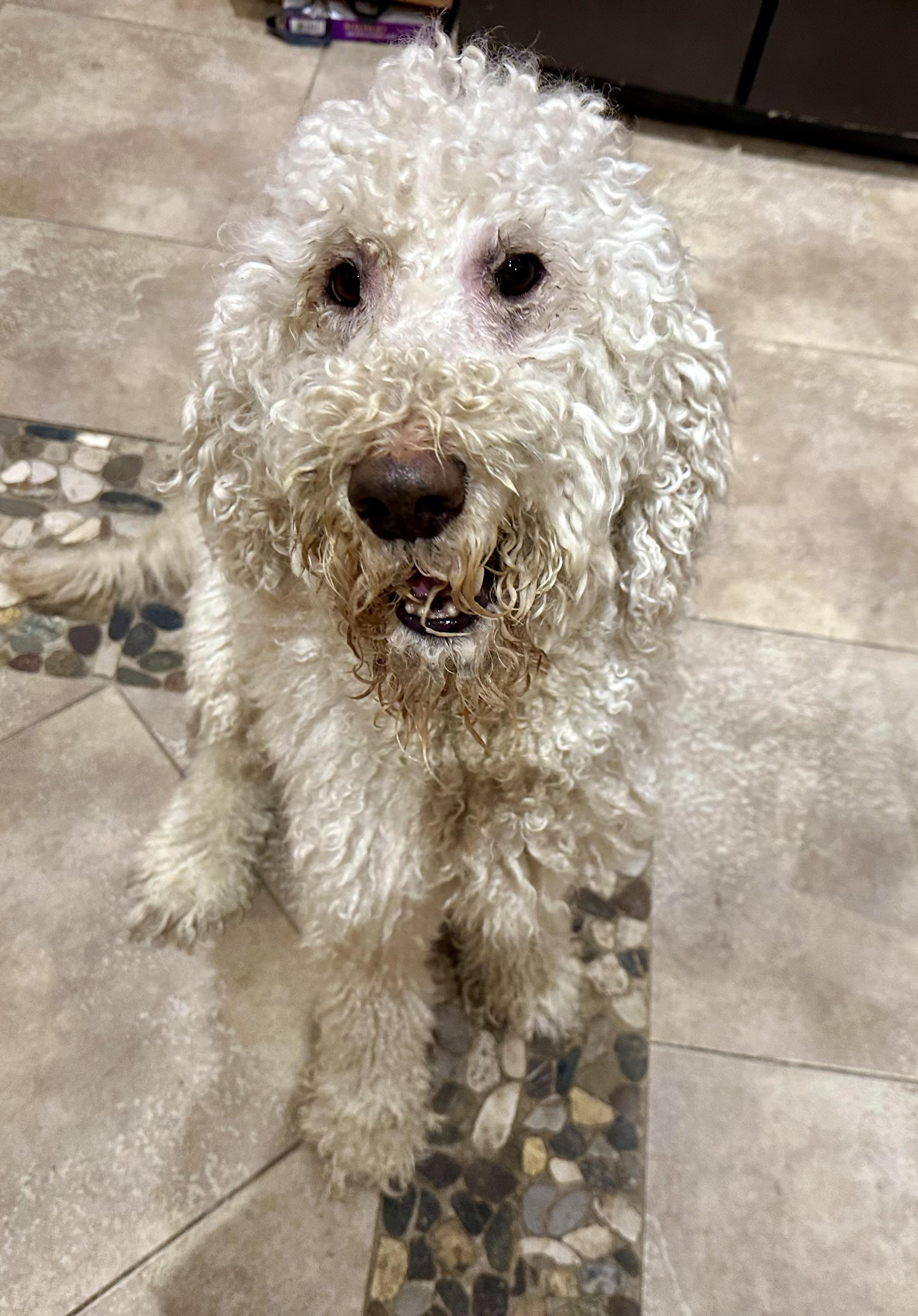 And……another Doodle thumbnail 3