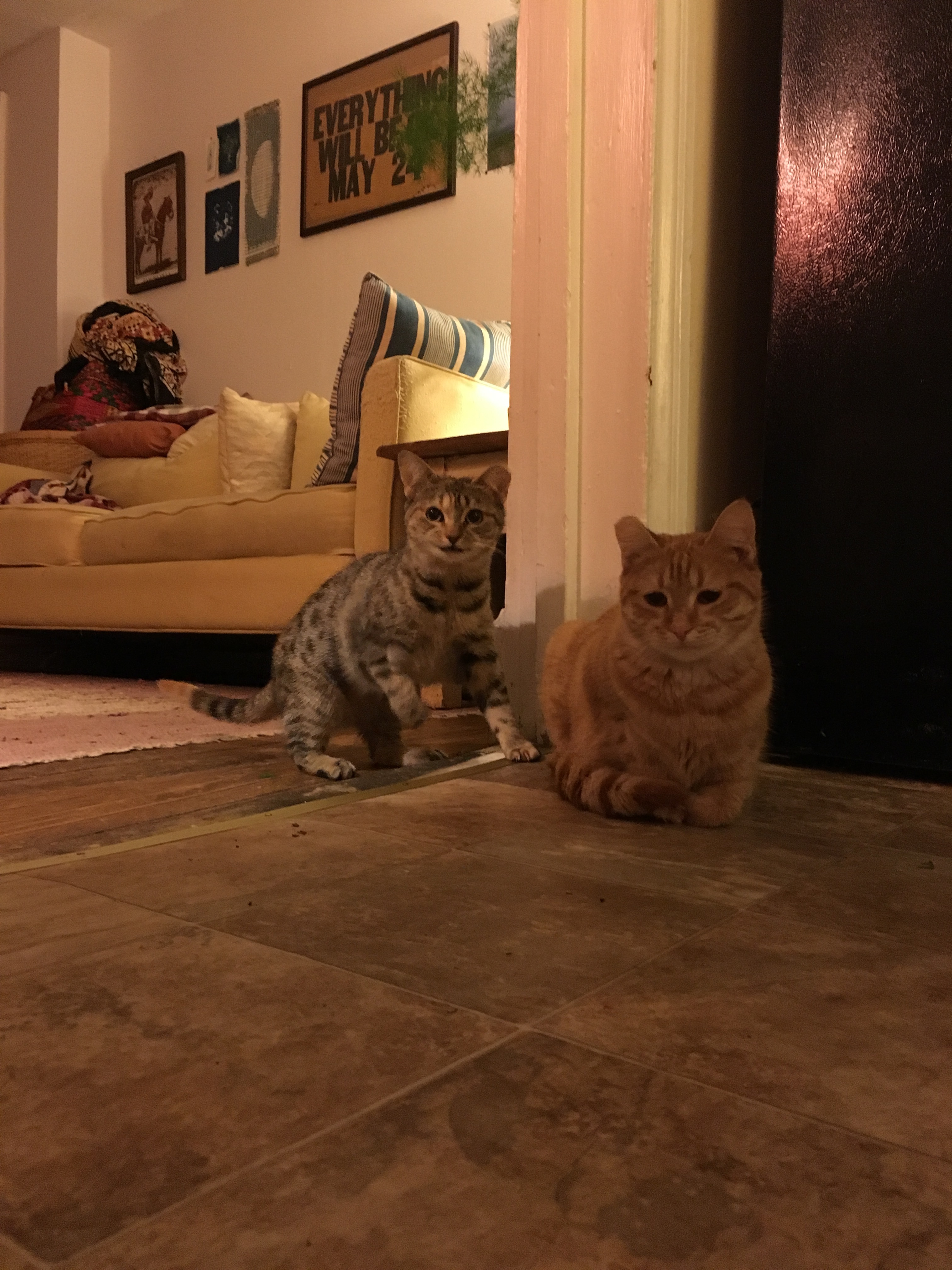 Penny photo 2