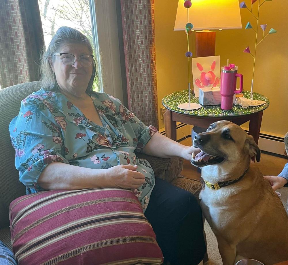 Enlarge Merle, a Adoptable mixed breed in Madison, WI image 2/6