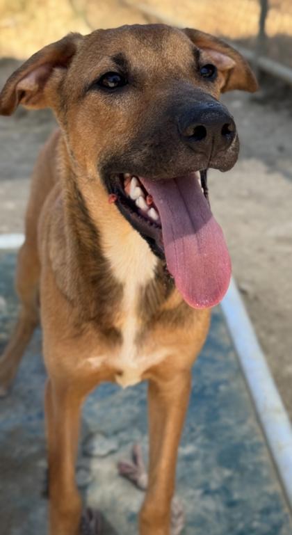 Jerry — thumbnail 2