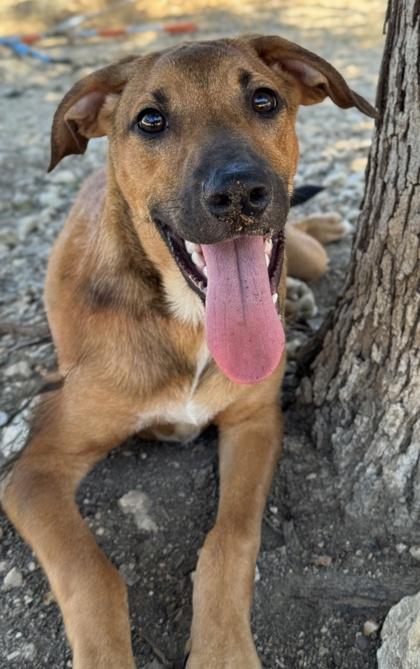 Jerry — thumbnail 3