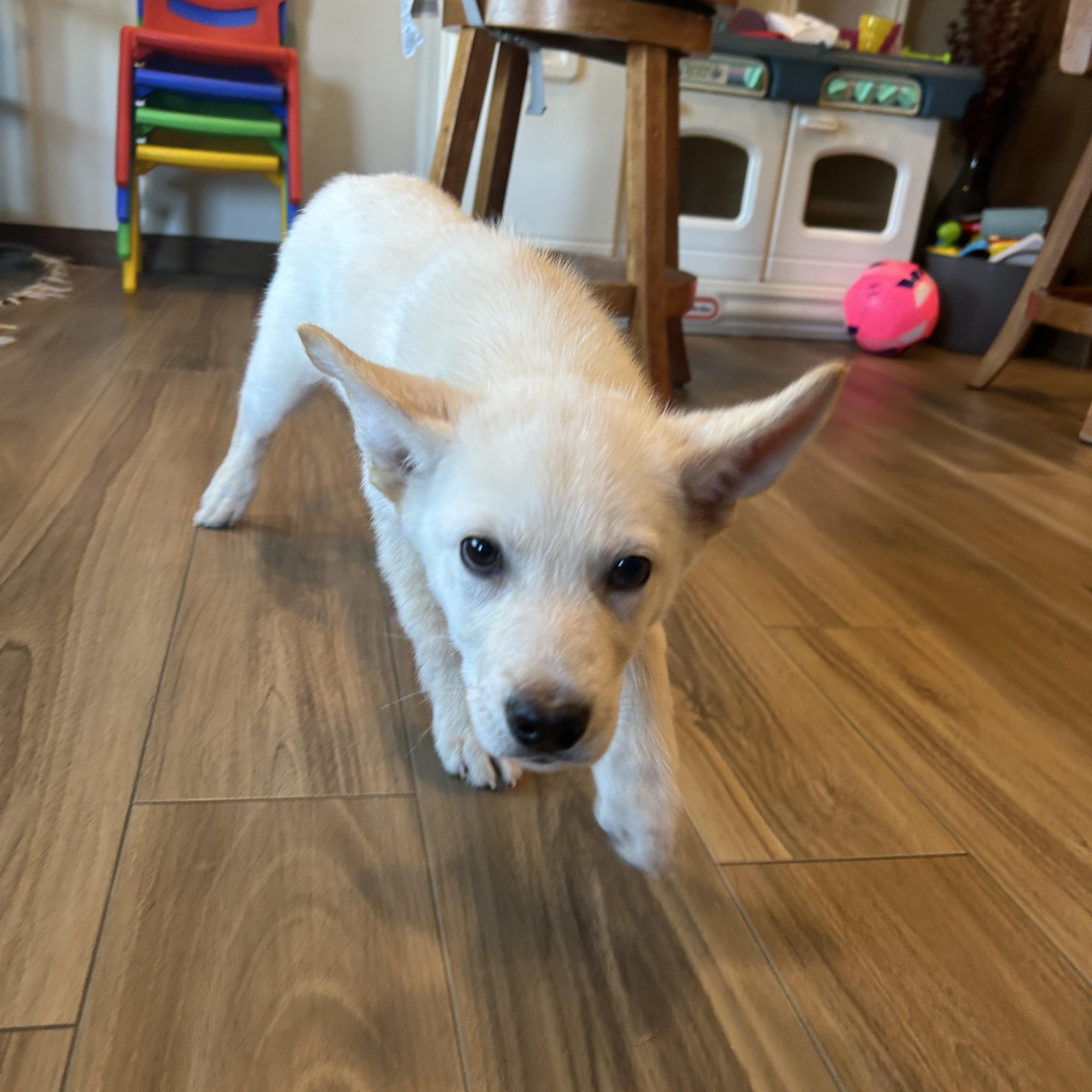 Cairo — thumbnail 2