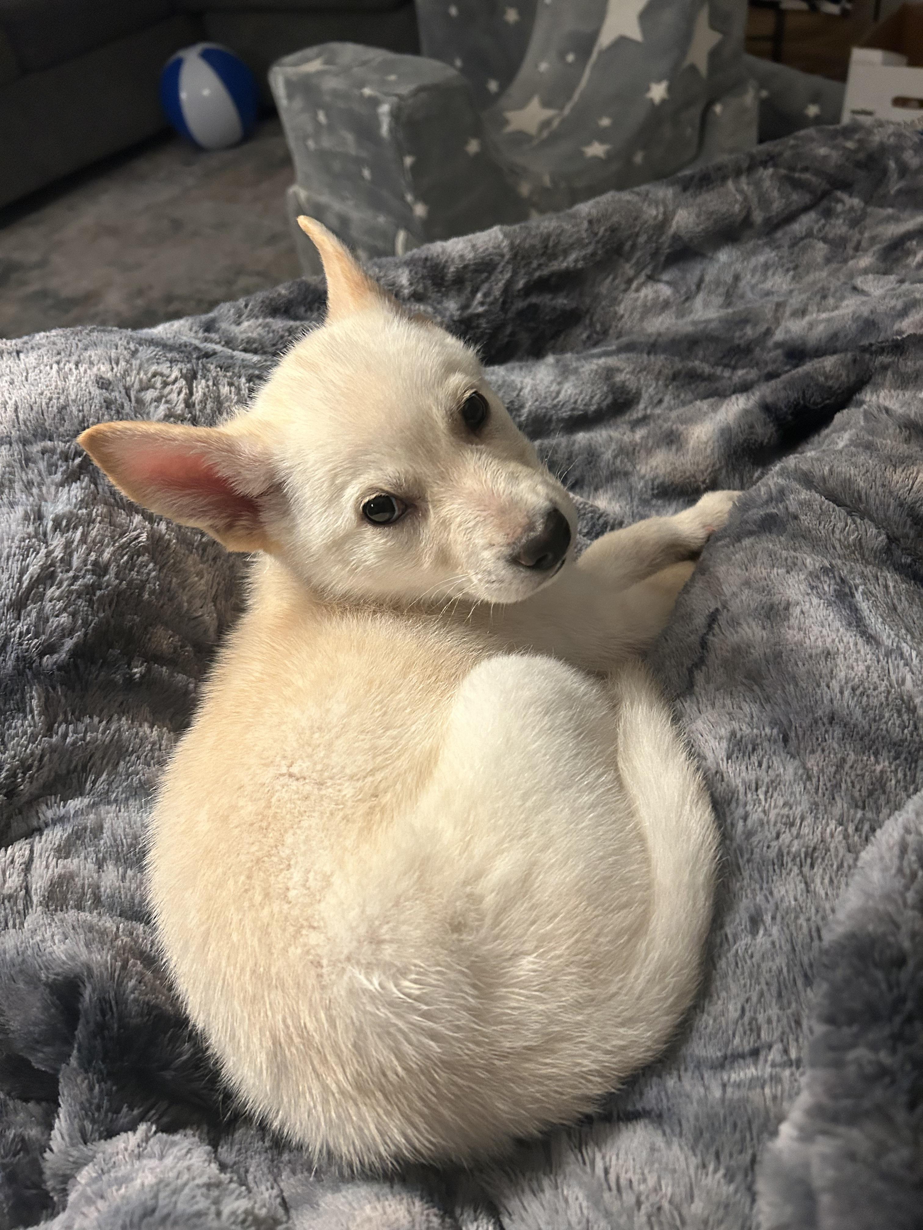 Cairo — thumbnail 3