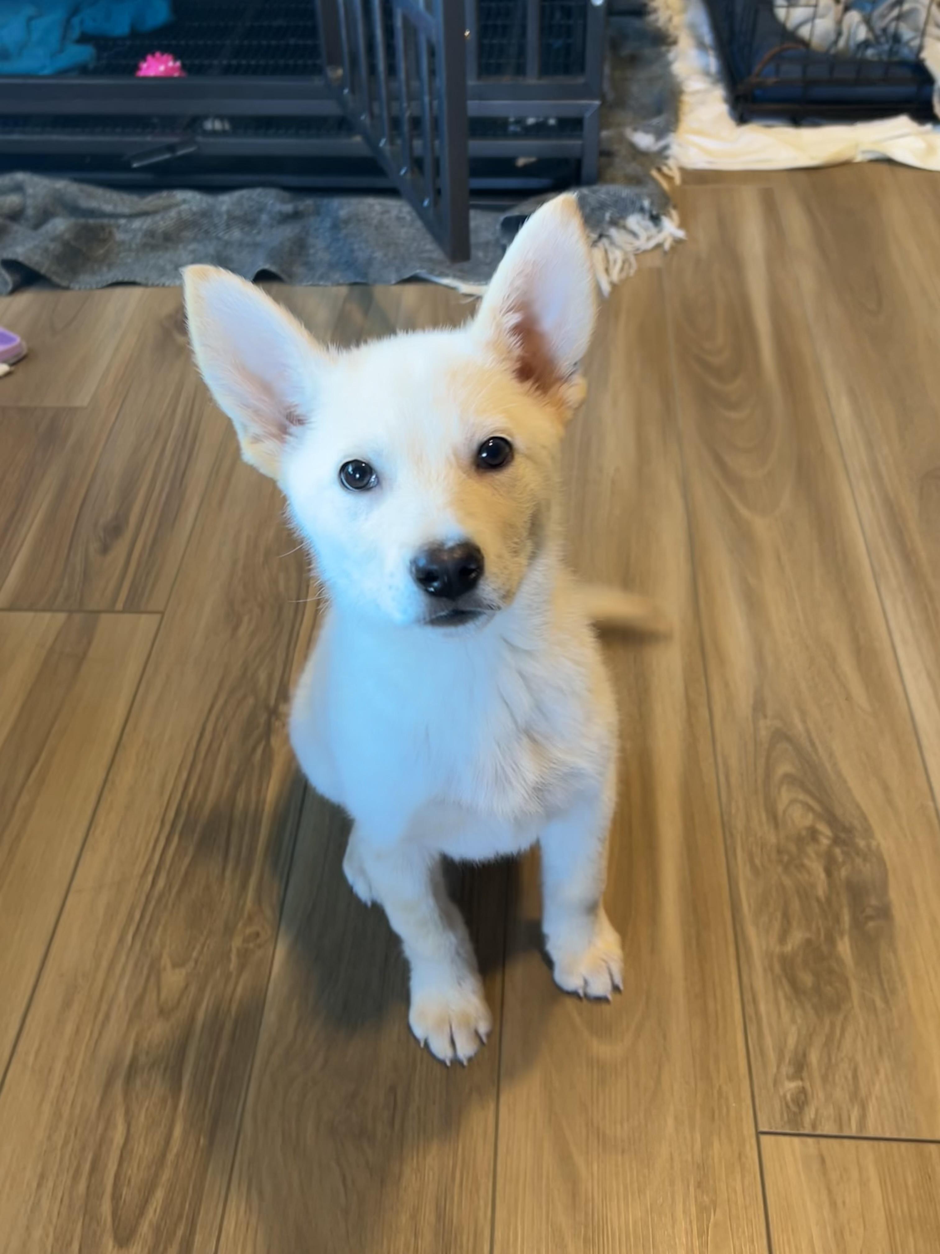 Cairo — thumbnail 4