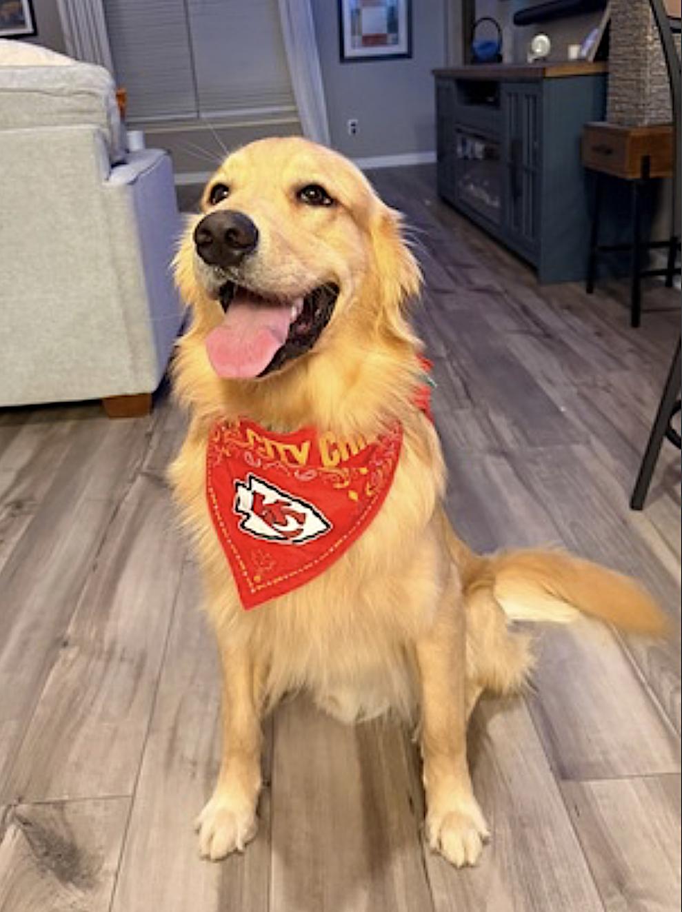 Charlie — thumbnail 5