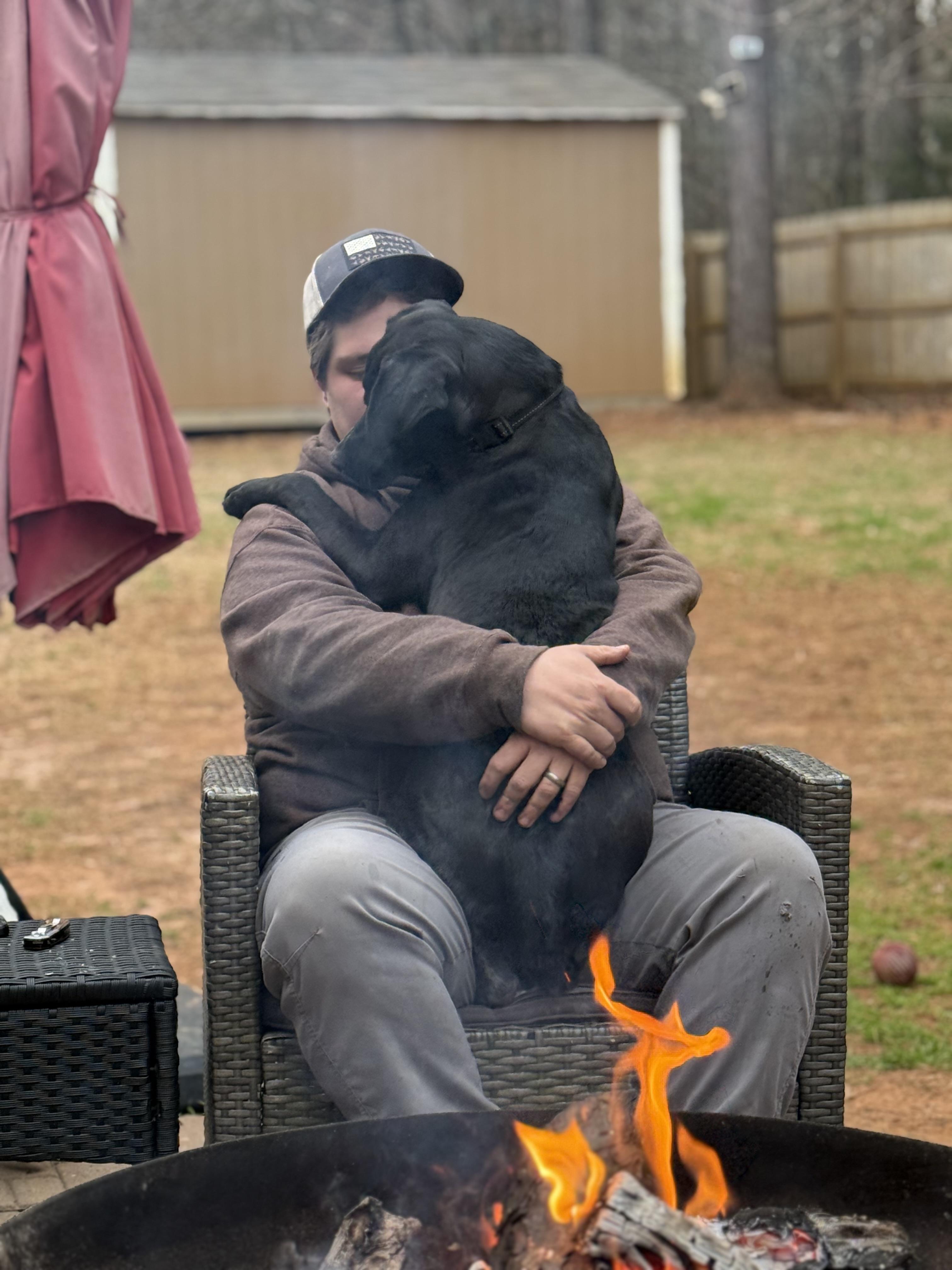 Enlarge Rosie, an adopted mixed breed in Jackson, GA image 2/6