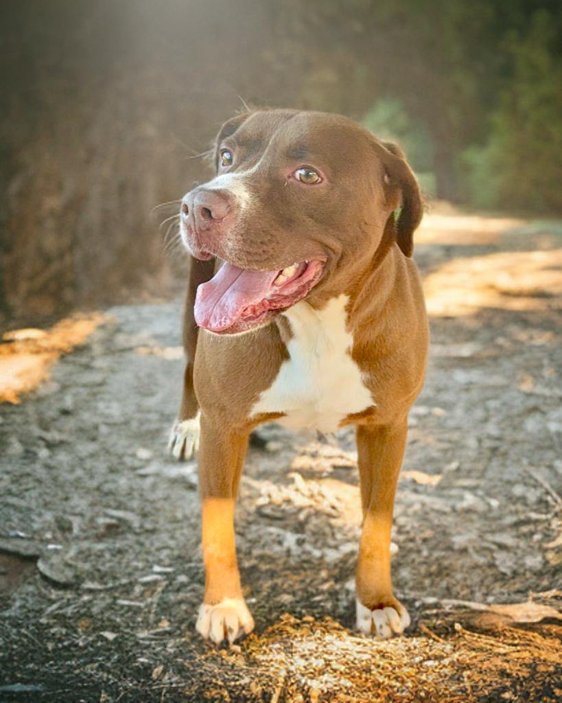 Rosita — thumbnail 2