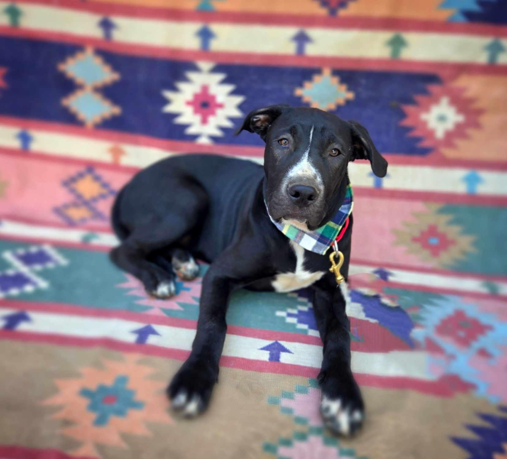 Clifford
