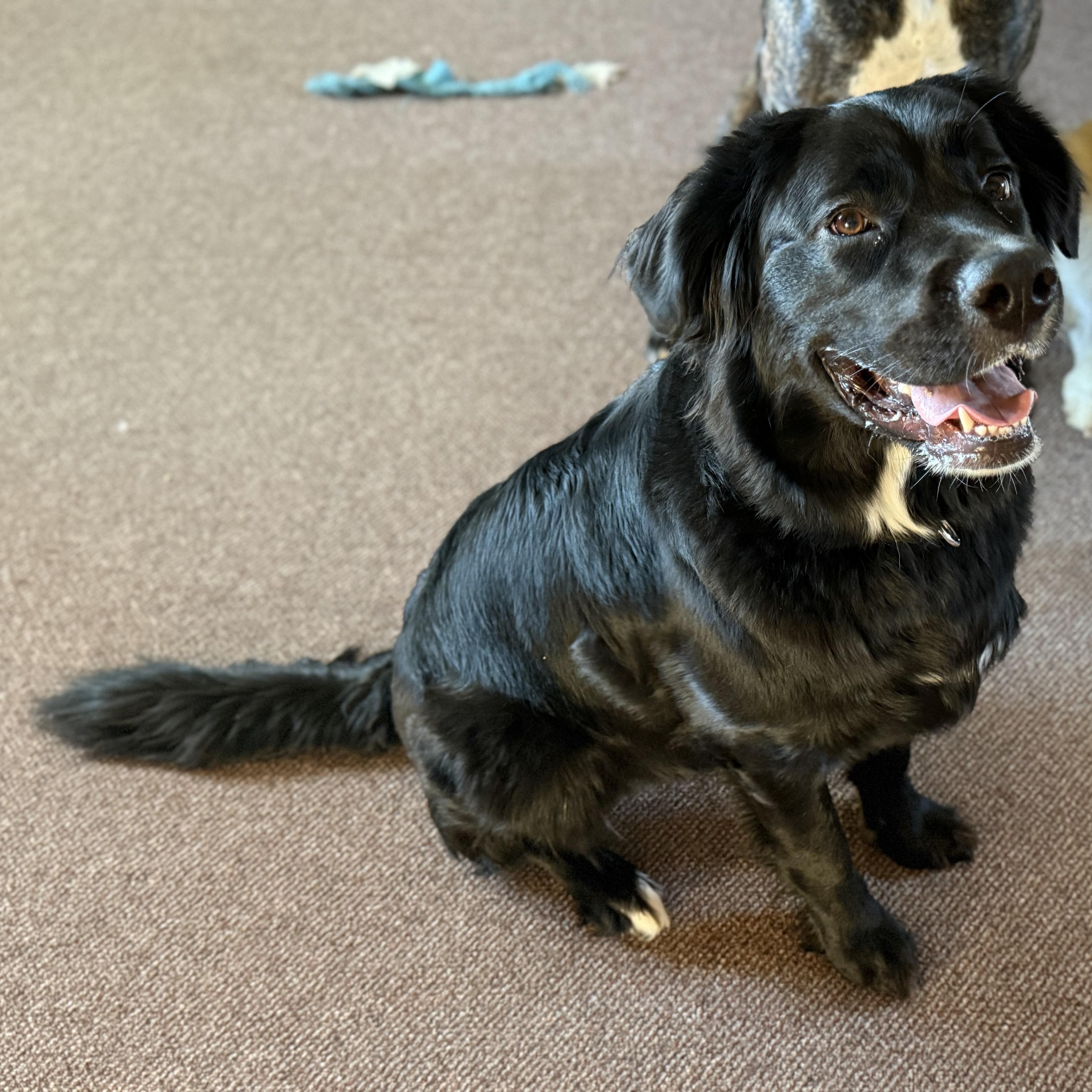 MARLOW — thumbnail 2